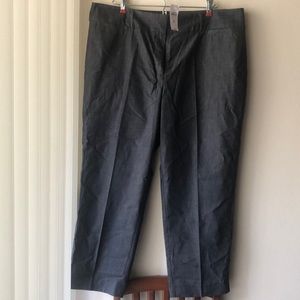 Ann Taylor Factory crop pant blue curvy 14